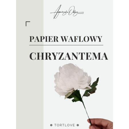 Kwiat z papieru waflowego - CHRYZANTEMA